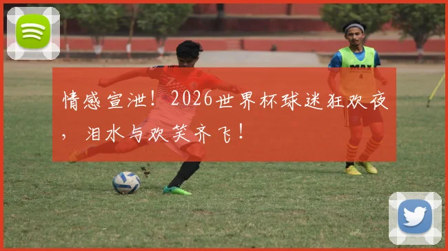 情感宣泄!2026世界杯球迷狂欢夜,泪水与欢笑齐飞!