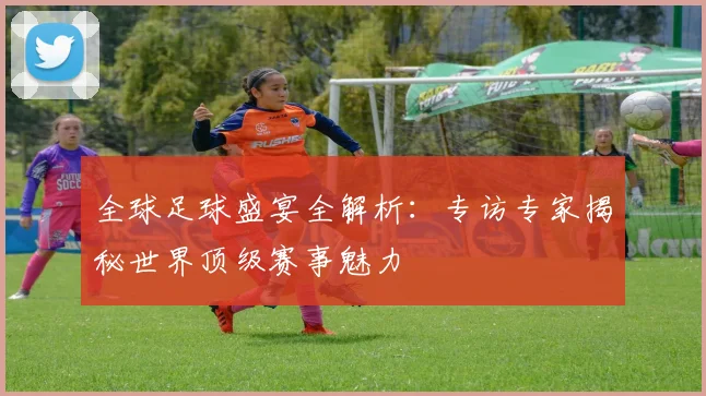 全球足球盛宴全解析：专访专家揭秘世界顶级赛事魅力
